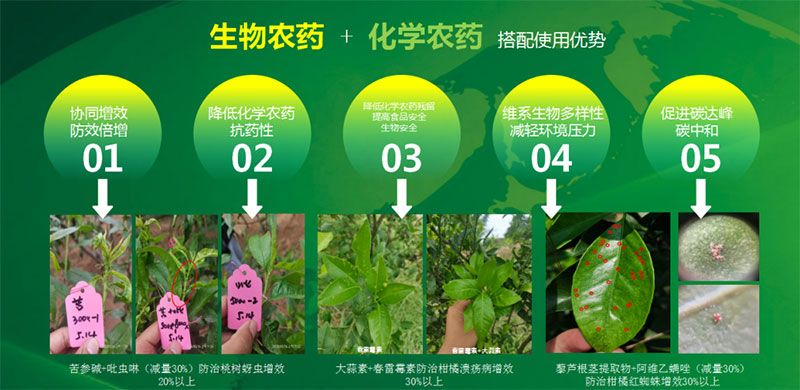 新朝陽(yáng)在第六屆中國(guó)農(nóng)藥行業(yè)市場(chǎng)和銷售高峰論壇做“生物農(nóng)藥+化學(xué)農(nóng)藥，引領(lǐng)植保市場(chǎng)未來(lái)”主題報(bào)告