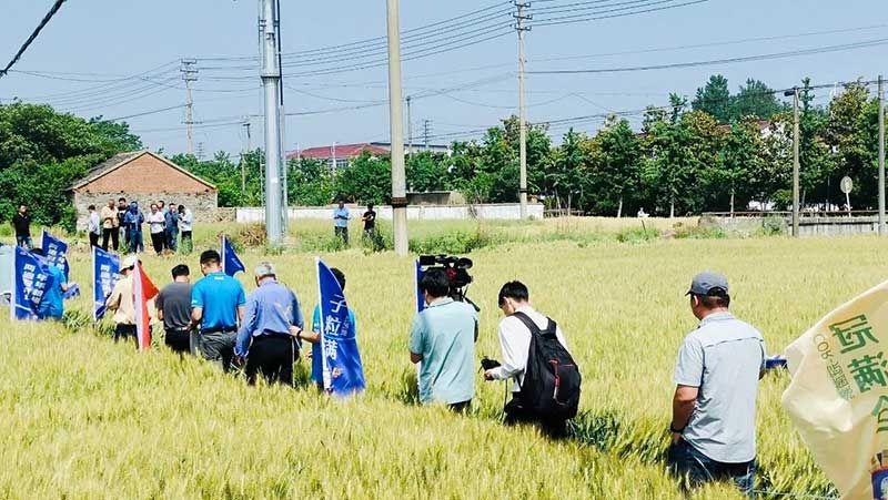 520健康植保日——擁抱綠色農(nóng)業(yè)，我們?cè)谛袆?dòng)