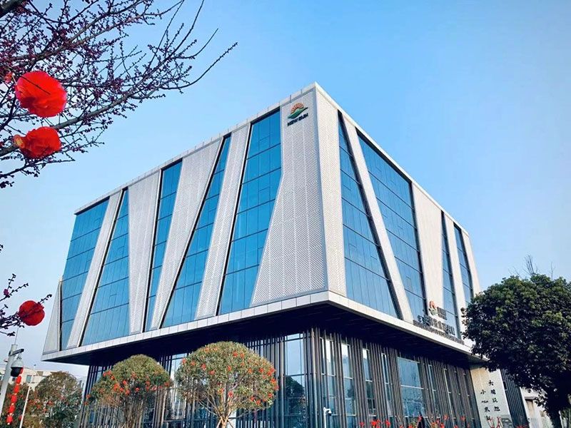 新突破！新朝陽新型脫葉劑獲巴西專利授權