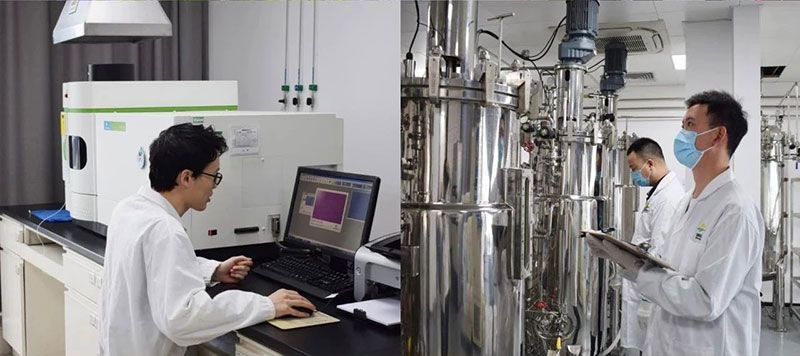 打造新朝陽(yáng)生物科技“五張名片”，服務(wù)農(nóng)業(yè)高質(zhì)量發(fā)展！