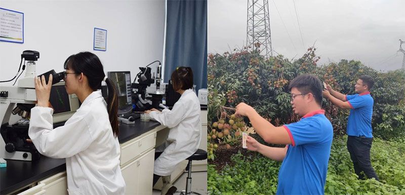 打造新朝陽(yáng)生物科技“五張名片”，服務(wù)農(nóng)業(yè)高質(zhì)量發(fā)展！