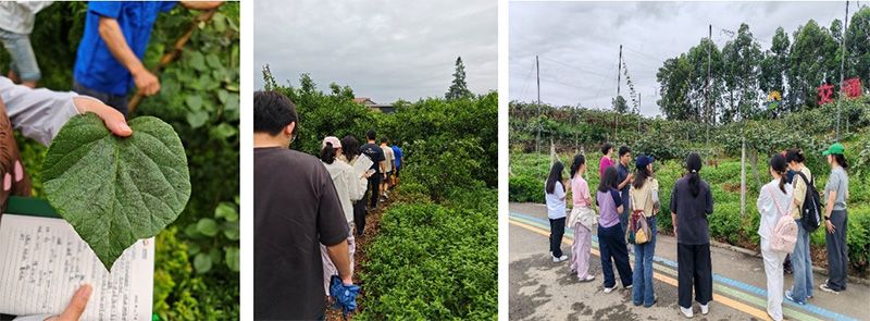 首個(gè)！中國(guó)農(nóng)業(yè)大學(xué)攜手新朝陽(yáng)啟動(dòng)“朝陽(yáng)稼穡計(jì)劃”