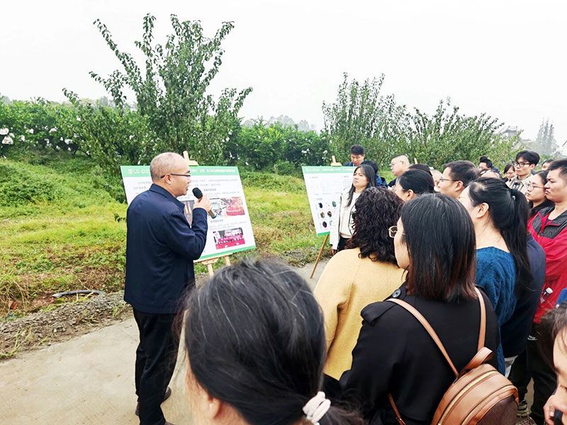 新朝陽(yáng)生物技術(shù)助力綠色防控，推動(dòng)柑橘產(chǎn)業(yè)綠色高質(zhì)量發(fā)展