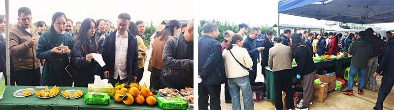 新朝陽(yáng)生物技術(shù)助力綠色防控，推動(dòng)柑橘產(chǎn)業(yè)綠色高質(zhì)量發(fā)展