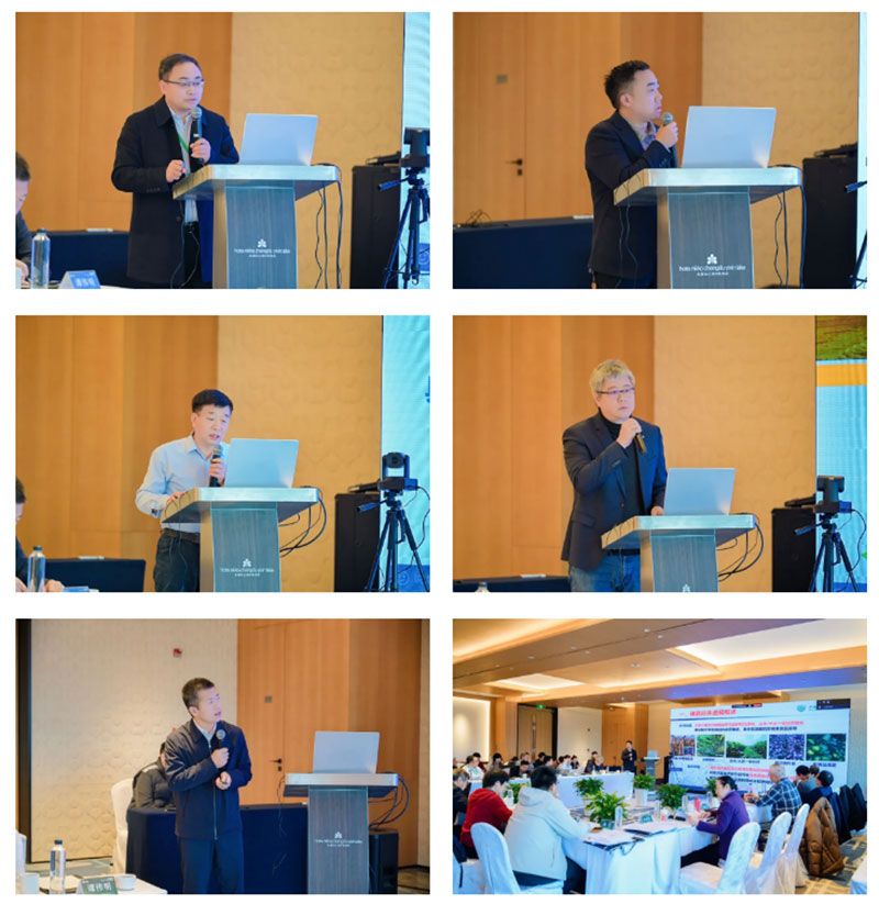 新朝陽牽頭的國家重點研發(fā)計劃項目中期總結會在成都召開